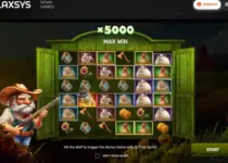 Play  Online Slot